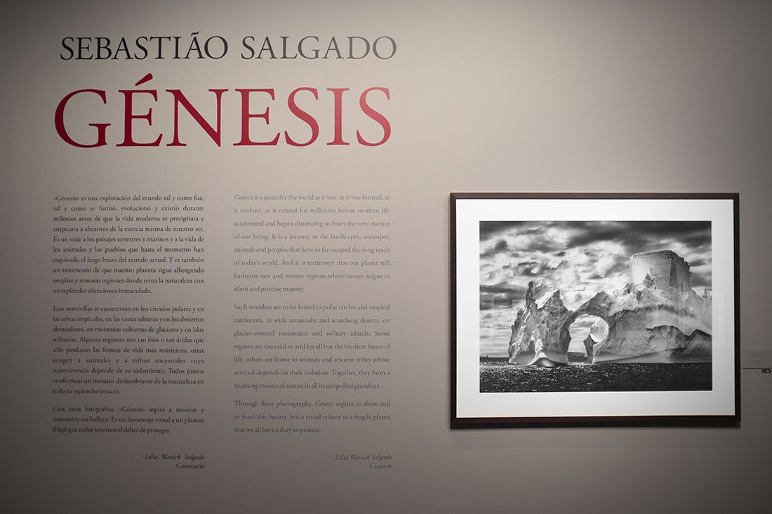 Exposición Génesis, oda de amor a la Tierra de Sebastião Salgado