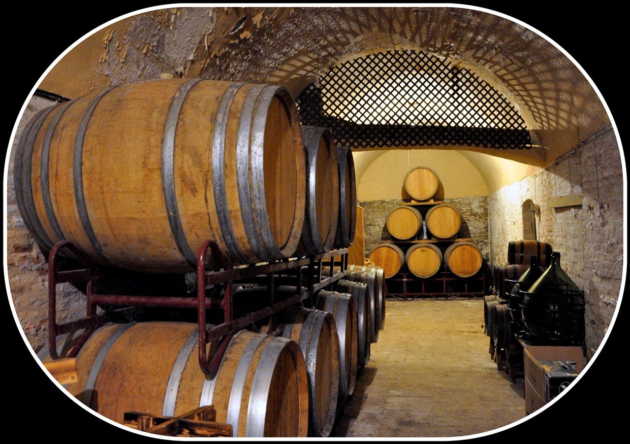 Bodegas Perdiguer-Tertulia Cine-Inicios 1996